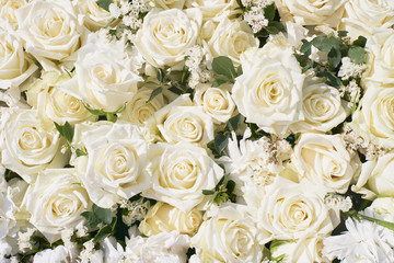 White roses bouquet. White flowers background. Top view