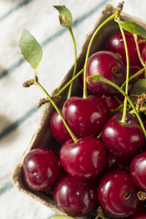 Raw Red Organic Tart Cherries