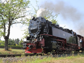 Fototapeta na wymiar Schmalspurbahn im Harz