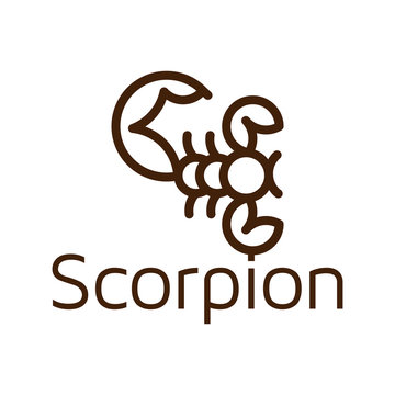 Line art scorpion logo icon vector template