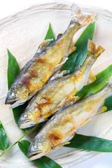 鮎の塩焼き