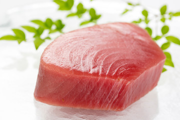 マグロの中トロ切り身