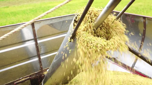 Harvester agriculture machine and harvesting in rice field