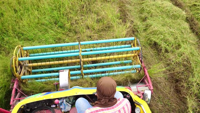 Harvester agriculture machine and harvesting in rice field