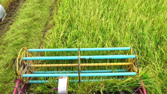 Harvester agriculture machine and harvesting in rice field