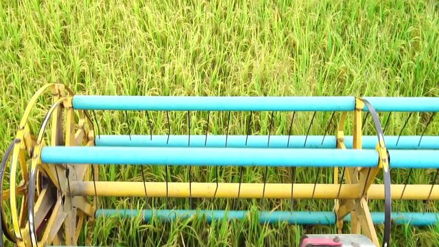 Slow Motion : Harvester agriculture machine and harvesting in rice field