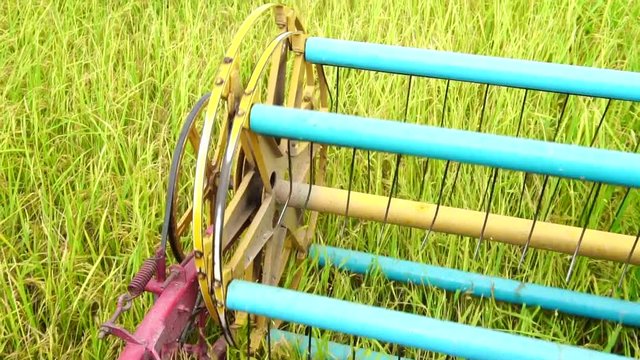 Slow Motion : Harvester agriculture machine and harvesting in rice field
