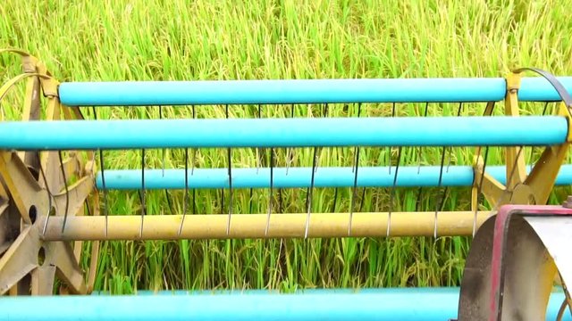 Slow Motion : Harvester agriculture machine and harvesting in rice field