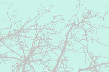 Fototapeta premium vector art of tree branches on tea background