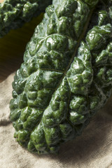 Fototapeta na wymiar Raw Green Organic Lacinato Kale