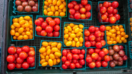 Various Type and Colors of Small Tomatos In Small Plastic Baskets