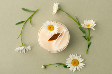 Obraz na płótnie Canvas Plant-based beauty products. Eyes pads with herbal extract, camomile flowers, concept of organic plant cosmetics product.