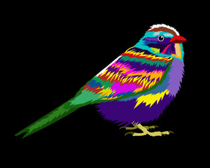 Colorful Bird Pop Art Cartoon Poster Graphic