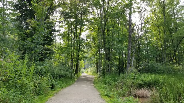nature pathway