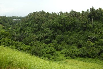 Bali Ubud