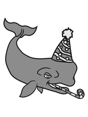 geburtstag feiern party geschenke hut grauwal blauwal pottwal buckelwal wal meeressäuger groß riesig fisch schwimmen meer see tauchen