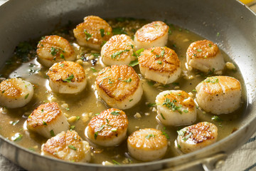 Panned Seared Scallops in Broth