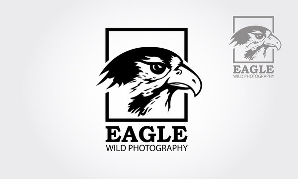 Eagle Wild Photography Vector Logo template. Clean and modern style on white background.