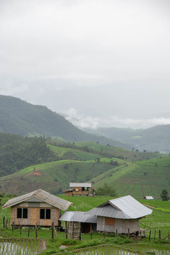 Nature of Thailand