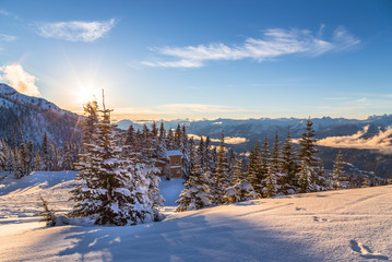 Snow covered trees with Whistler Creekside valley in the background. © Adam
