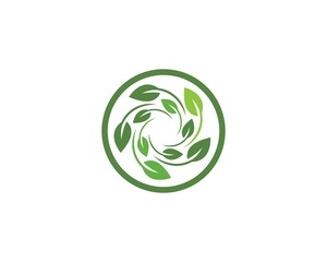 green leaf ecology nature element