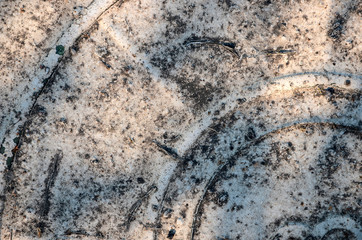 Naklejka premium Rusty metal texture