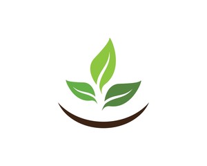 green leaf ecology nature element