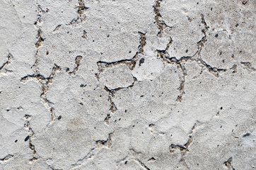 Obraz premium old gray asphalt texture