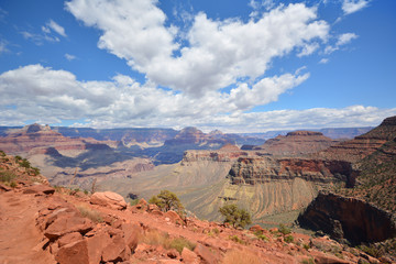 Fototapeta premium Grand Canyon