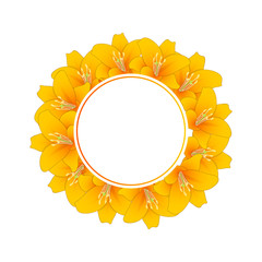 Lilium candidum, the Madonna lily or Orange Lily Banner Wreath.