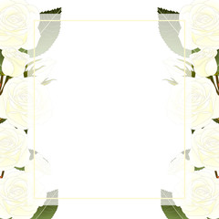 Fototapeta na wymiar White Rose Flower Banner Card Border