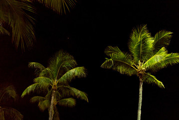 ワイキキビーチ(Waikiki Beach Night)