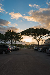ハレイワ・タウン（Haleiwa Town）