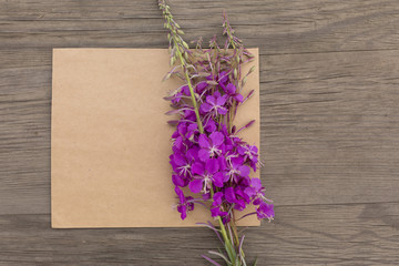 Blooming sally purple flowers with craft paper blank on old grunge wooden background. Top view. Minimalistic mockup.