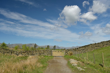 Fototapeta na wymiar Path over Claife Heights in the Lake District