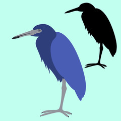 blue heron  vector illustration flat style  black silhouette
