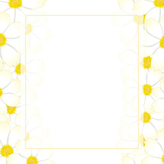 White Cosmos Flower Banner Card Border