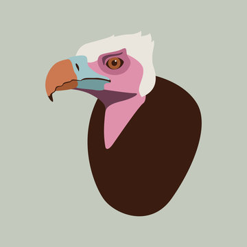 vulture head vector illustration flat style profile 