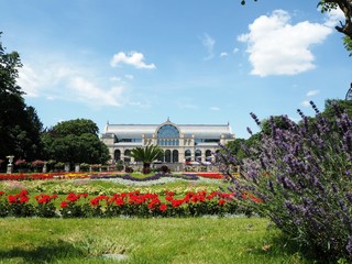 Obraz premium Botanical garden Flora in Cologne on a a sunny summer day with coloured flowers and blue sky in the background, a beautiful place for a visit.
