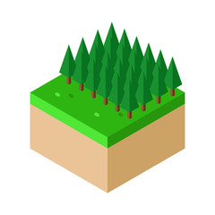 Isometric Piece of ground with forest trees vector illustration. concept. Flat style design. Colorful graphics