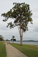 Fototapeta premium Australia