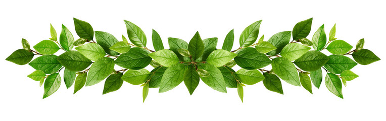 Naklejka na ściany i meble Twigs with fresh green leaves in a garland