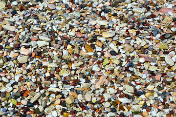 Background of colored wet small pebbles. Close up.