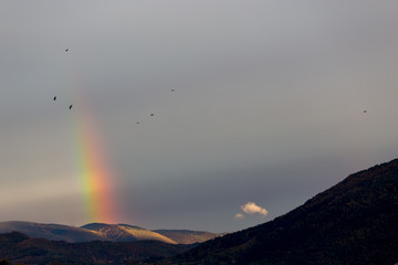 Beautiful and surreal view of part of a rainbow over some hills with birds flying