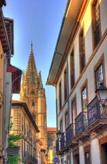 Fototapeta na wymiar Oviedo, Capital of Asturias, Spain