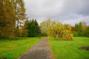 Fototapeta na wymiar Autumn landscape - autumn trees in cloudy day - autumn in park 