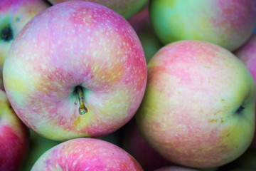 Group of apples