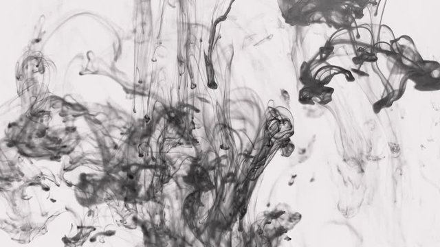 Black and grey fluid swirls over white