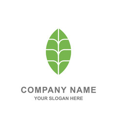 Leaf icon logo template