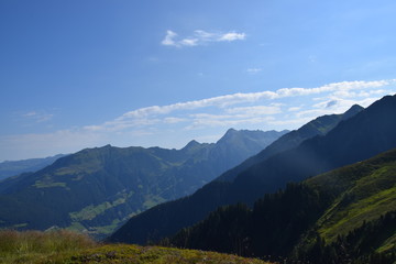 Fototapeta premium nature in the alps